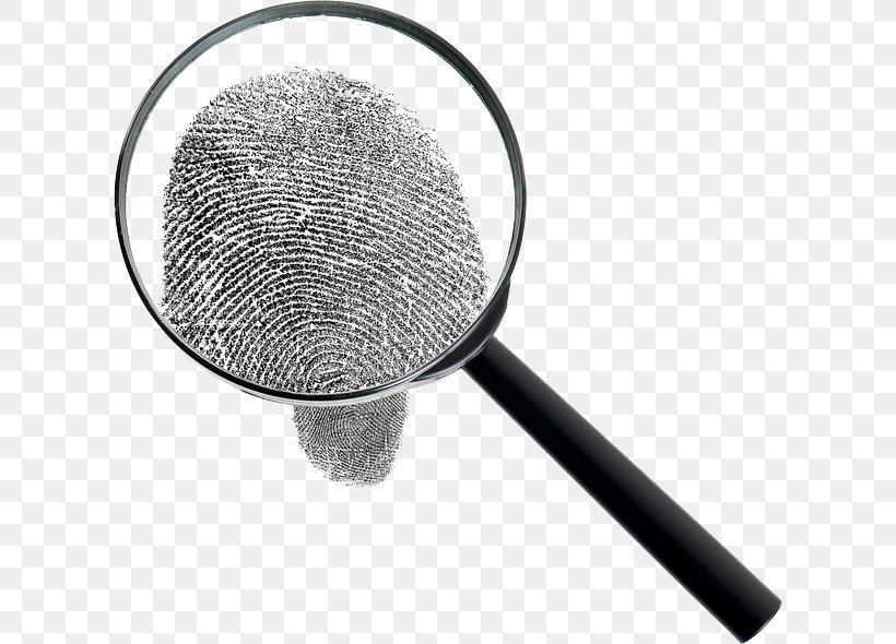 Magnifying Glass Background Check Fingerprint Criminal Record, PNG, 612x590px, Magnifying Glass, Background Check, Crime, Criminal Investigation, Criminal Record Download Free