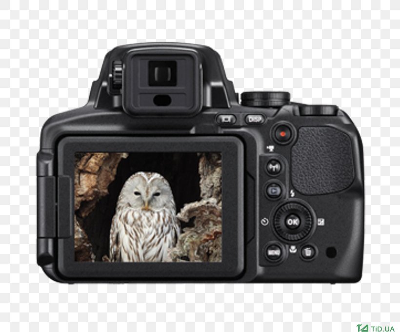Canon PowerShot SX60 HS Nikon Coolpix P900 Digital Camera, PNG, 800x680px, Canon Powershot Sx60 Hs, Camera, Camera Accessory, Camera Lens, Cameras Optics Download Free
