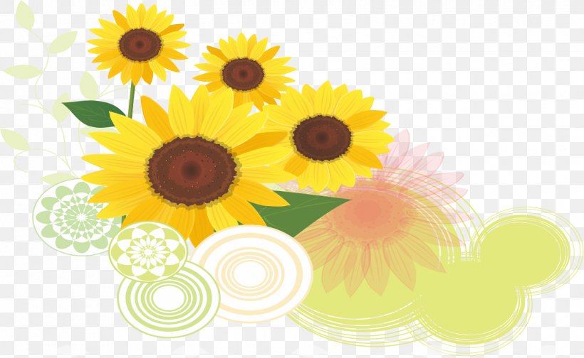Common Sunflower Euclidean Vector, PNG, 1324x815px, Common Sunflower, Cut Flowers, Daisy Family, Designer, Floral Design Download Free
