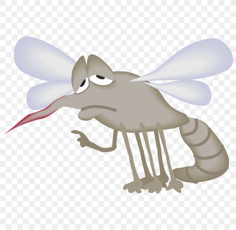 Mosquito PNG Images | Vector and PSD Files | Free Download on Pngtree