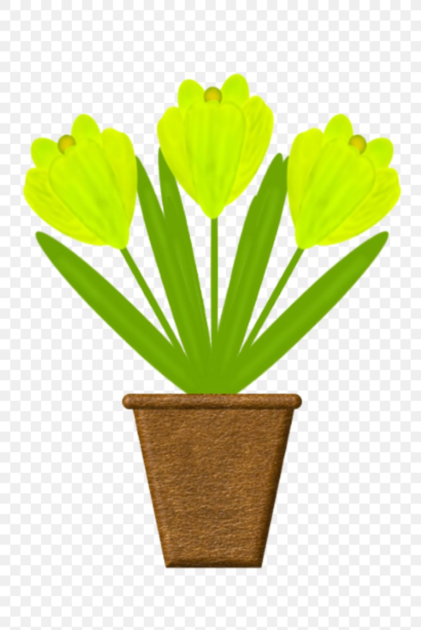 Petal Desktop Wallpaper Flower Image, PNG, 800x1226px, Petal, Flower, Flowering Plant, Flowerpot, Grass Download Free