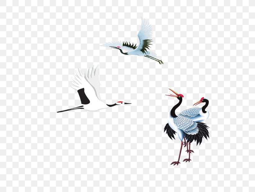 Red-crowned Crane Creative, PNG, 800x617px, Bird, Beak, Common Crane, Concepteur, Crane Download Free