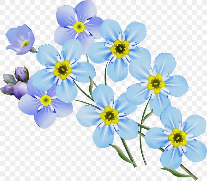 Flowering Plant Alpine Forget-me-not Flower Blue Forget-me-not, PNG, 1280x1121px, Watercolor, Alpine Forgetmenot, Blue, Borage Family, Flower Download Free