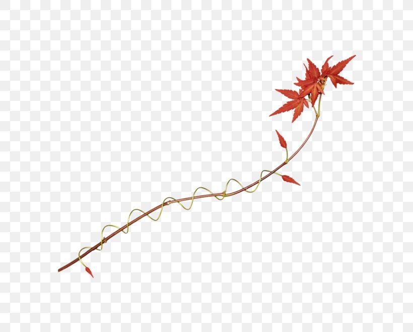 Maple Leaf Clip Art, PNG, 658x658px, Maple Leaf, Branch, Green, Leaf, Maple Download Free