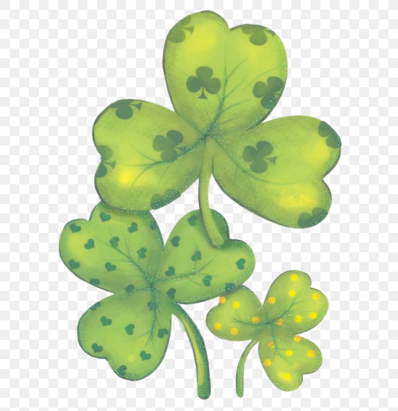Saint Patrick's Day Shamrock Flower Symbol, PNG, 628x847px, Saint Patrick S Day, Canvas, Flower, Flowering Plant, Leaf Download Free
