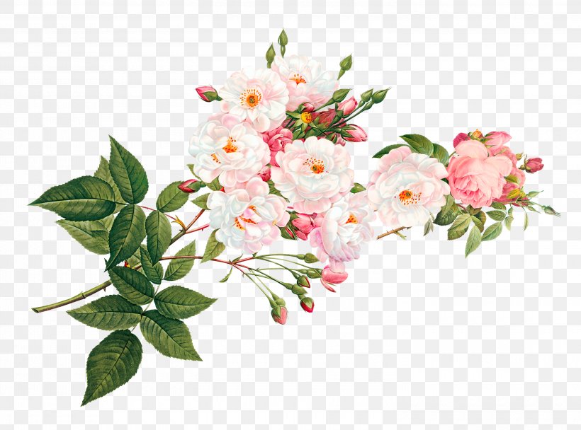 Vecteur, PNG, 3000x2225px, Vecteur, Artificial Flower, Blossom, Branch, Cut Flowers Download Free