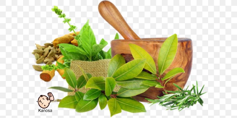 Ayurveda Medicine Therapy Disease Health, PNG, 614x408px, Ayurveda, Alternative Health Services, Cure, Disease, Dosha Download Free