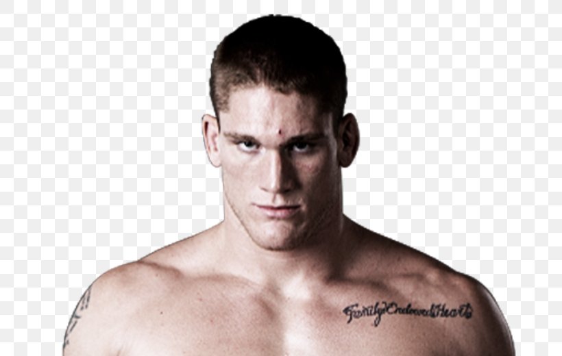 Todd Duffee UFC 181: Hendricks Vs. Lawler 2 Evansville Mixed Martial Arts Barechestedness, PNG, 800x520px, Watercolor, Cartoon, Flower, Frame, Heart Download Free