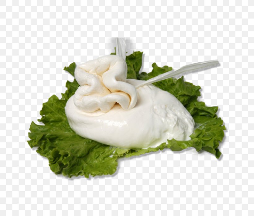 Burrata Caciocavallo Water Buffalo Buffalo Mozzarella Dish, PNG, 700x700px, Burrata, Beyaz Peynir, Buffalo Mozzarella, Caciocavallo, Cheese Download Free