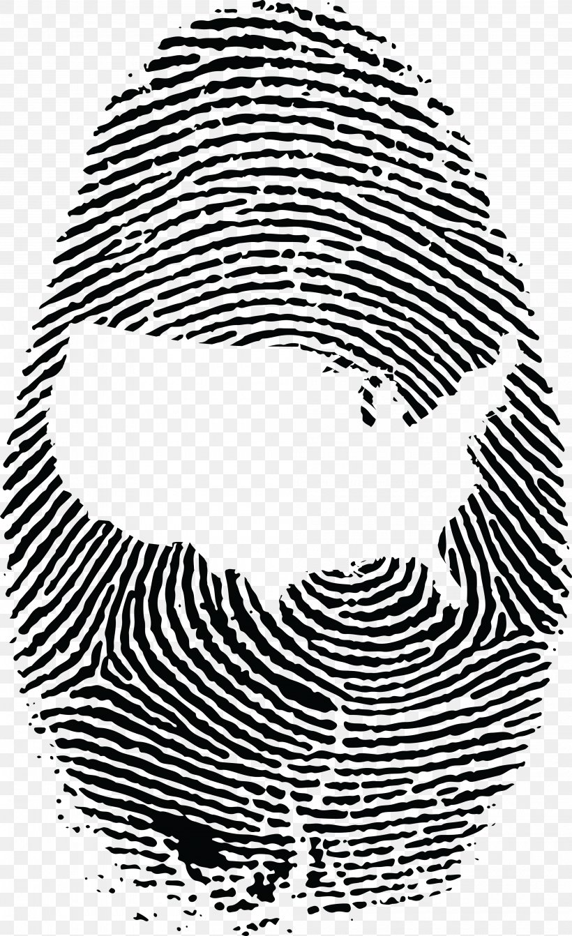 Fingerprint Spiral Clip Art, PNG, 4000x6548px, Fingerprint, Area, Biometrics, Black, Black And White Download Free