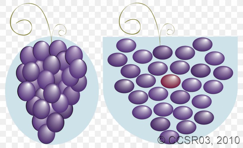 Grape, PNG, 1050x638px, Grape, Fruit, Grapevine Family, Lilac, Purple Download Free