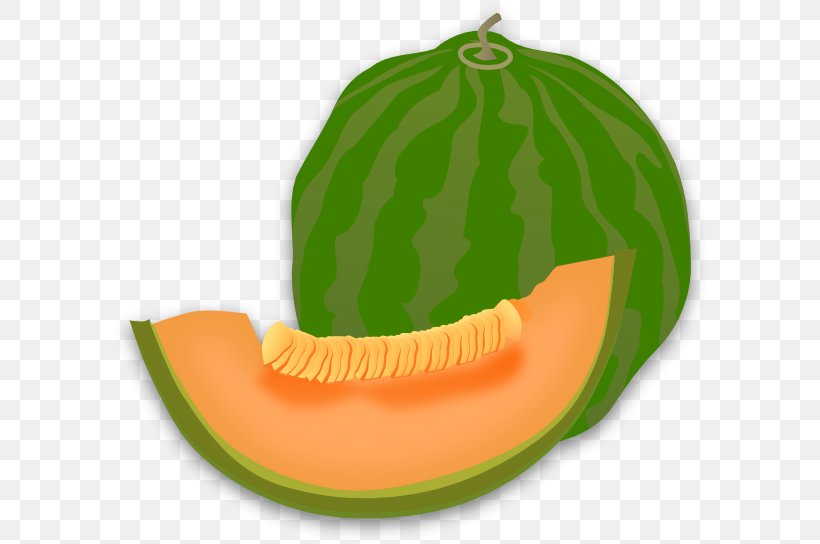 Honeydew Cantaloupe Melon Clip Art, PNG, 600x544px, Honeydew, Calabaza, Cantaloupe, Citrullus, Cucumber Gourd And Melon Family Download Free