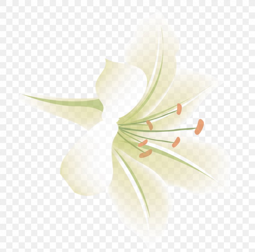 Lilium Flower Aesthetics, PNG, 1658x1640px, Lilium, Aesthetics, Alismatales, Art, Arum Download Free