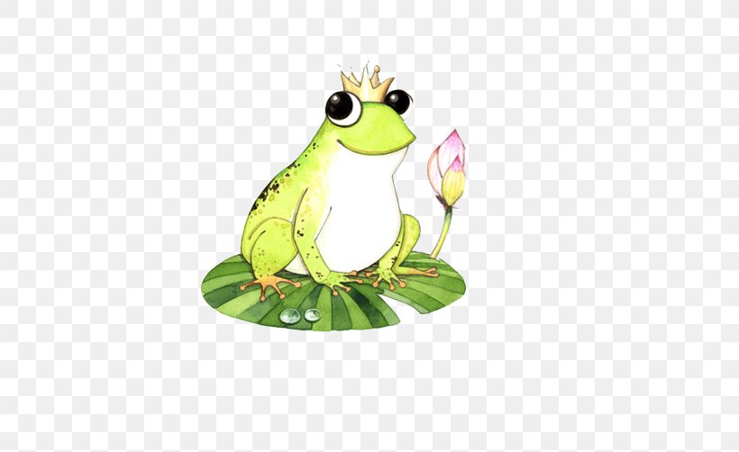 Tree Frog Cartoon Illustration, PNG, 502x502px, Frog, Amphibian, Animation, Art, Cartoon Download Free