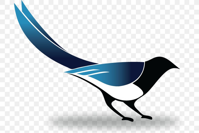 Beak Cobalt Blue Line Clip Art, PNG, 706x550px, Beak, Bird, Blue, Cobalt, Cobalt Blue Download Free