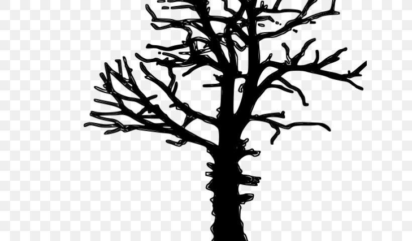 Clip Art Vector Graphics Silhouette Tree, PNG, 640x480px, Silhouette, American Larch, Art, Blackandwhite, Botany Download Free