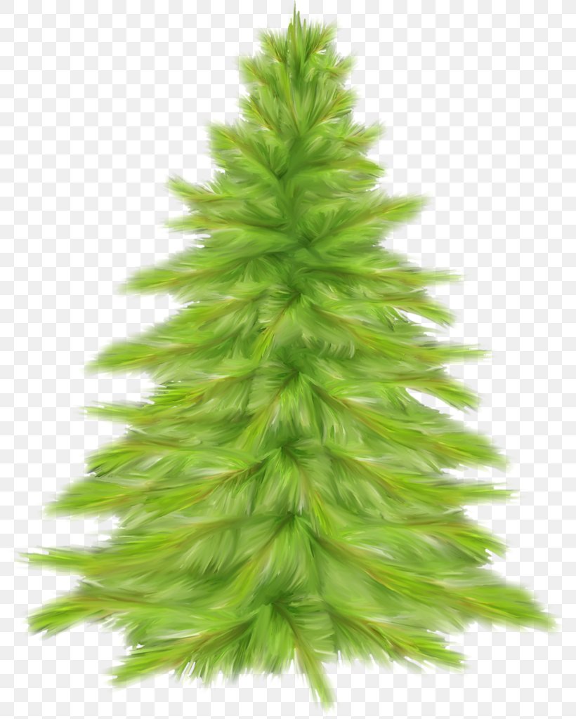 Ded Moroz Christmas Tree Fir, PNG, 798x1024px, Ded Moroz, Christmas, Christmas Decoration, Christmas Ornament, Christmas Tree Download Free