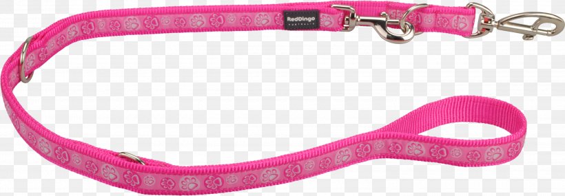 Dog Collar Leash Goggles Light, PNG, 3000x1043px, Dog, Collar, Dog Collar, Fashion Accessory, Goggles Download Free