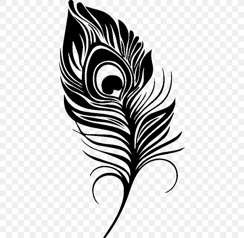 Feather Pavo Drawing, PNG, 800x800px, Feather, Bird, Black And White, Color, Drawing Download Free