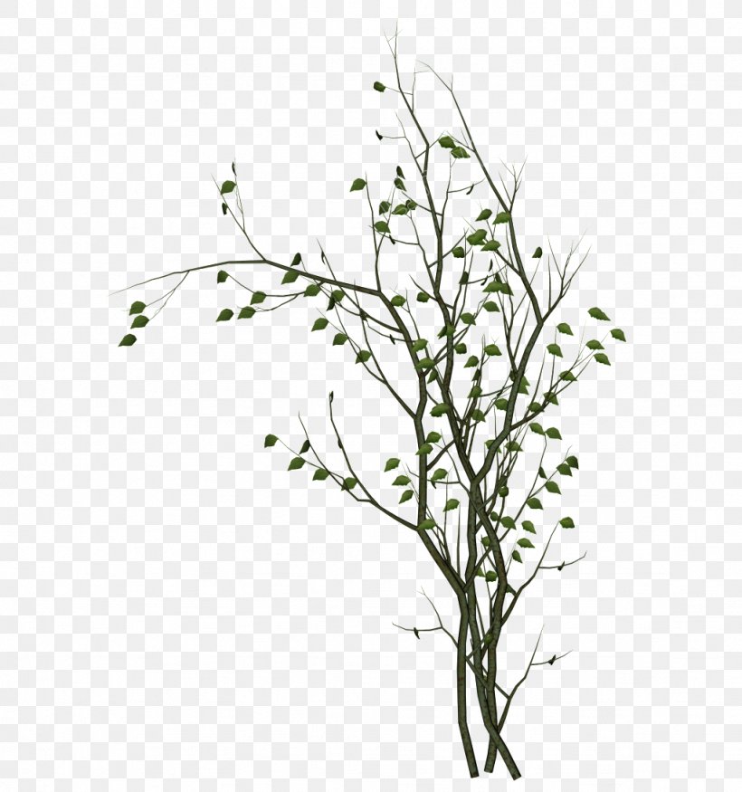 Clip Art Branch Tree Image, PNG, 1024x1093px, Branch, Art, Flower, Flowering Plant, Grass Download Free