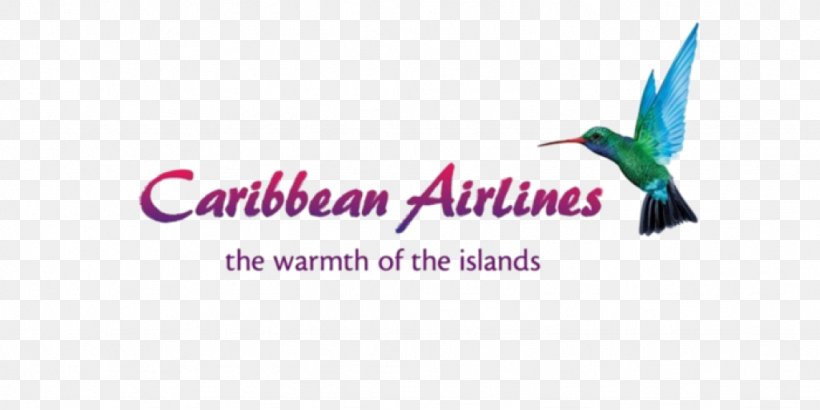 Piarco International Airport Cheddi Jagan International Airport Caribbean Airlines Limited Flight, PNG, 1024x512px, Piarco International Airport, Advertising, Air Jamaica, Airline, Beak Download Free