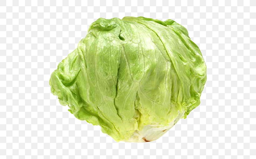 Romaine Lettuce Vegetable Greens Bargli Sabzavotlar, PNG, 512x512px, Romaine Lettuce, Bargli Sabzavotlar, Cabbage, Cauliflower, Collard Greens Download Free