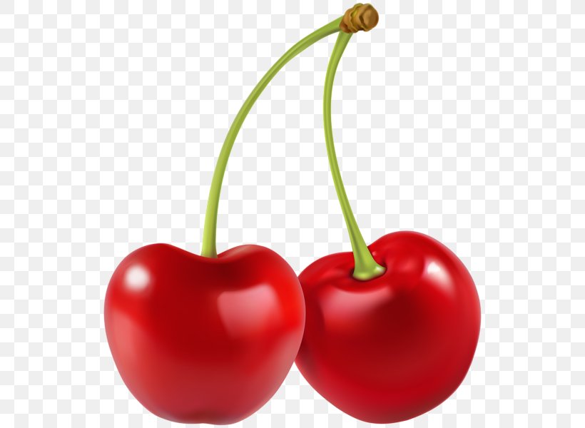 Sour Cherry Fruit Clip Art, PNG, 536x600px, Cherry, Berry, Bing Cherry, Cherry Tomato, Food Download Free