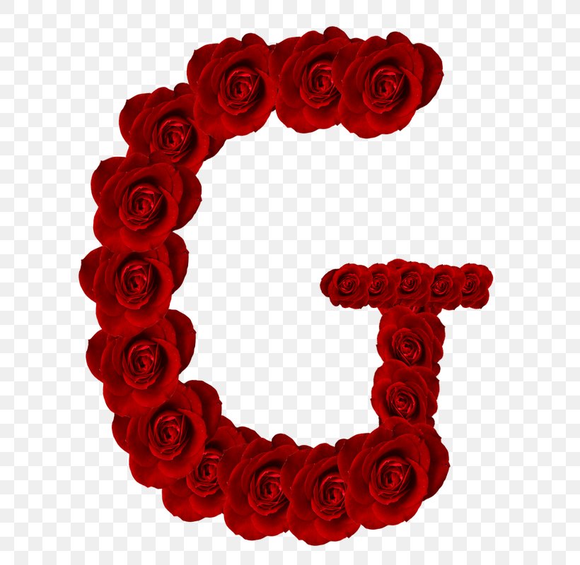 Garden Roses Letter Alphabet, PNG, 800x800px, Garden Roses, Alphabet, Bet, Cut Flowers, Flower Download Free
