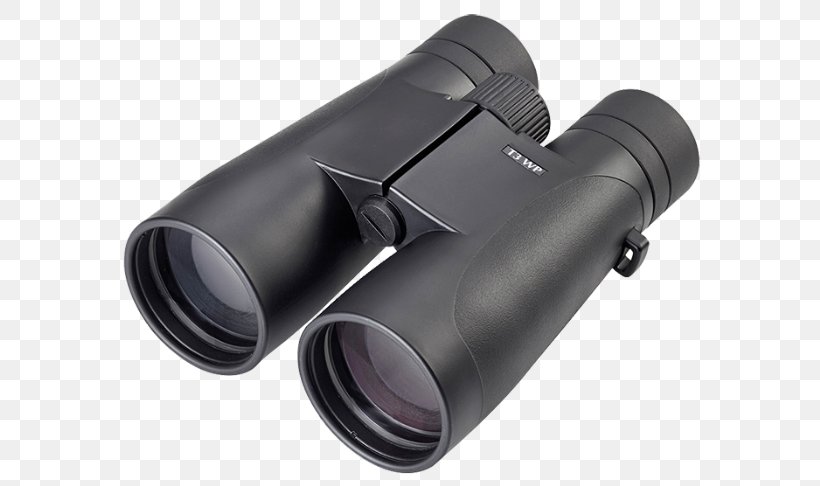 Celestron 72022 SkyMaster DX 8x56 Binoculars Roof Prism Monocular, PNG, 612x486px, Binoculars, Camera, Color, Glass, Hardware Download Free