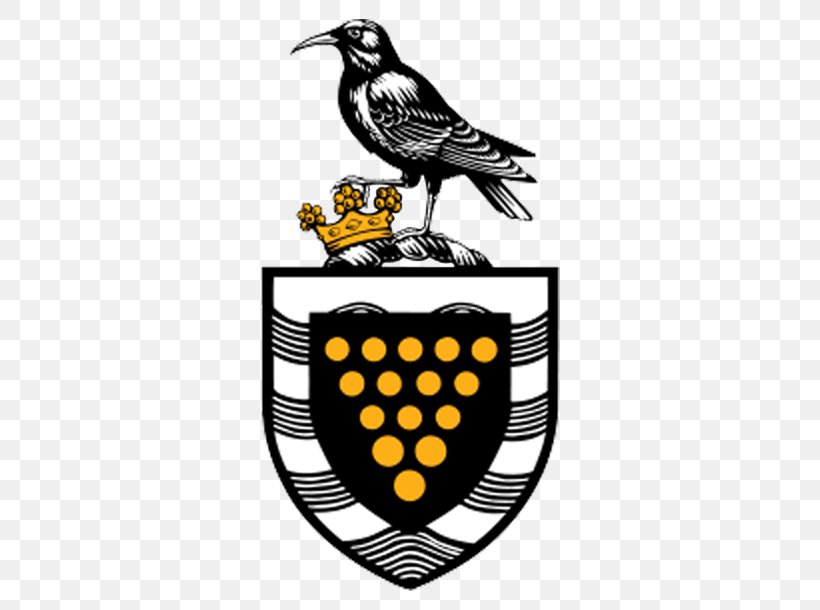Lostwithiel Cornwall Council Falmouth St Erth, PNG, 610x610px, Falmouth, Beak, Bird, Brand, Career Download Free