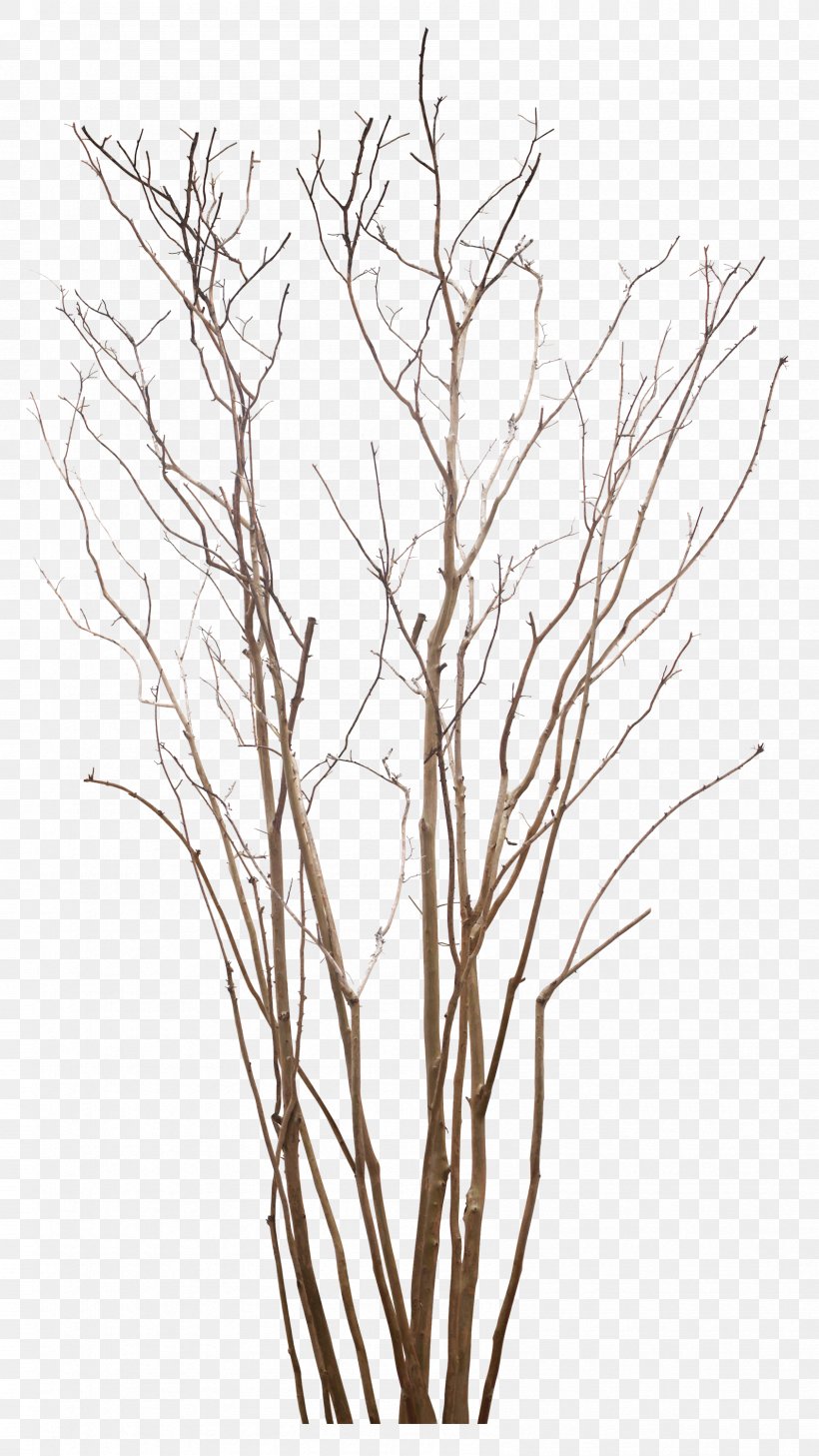 Tree Art Clip Art, PNG, 1688x3000px, Tree, Art, Black And White, Branch, Deviantart Download Free