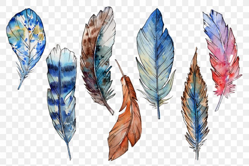 Watercolor Painting Feather Art, PNG, 1160x772px, Watercolor Painting, Art, Art Museum, Drawing, Fashion Accessory Download Free