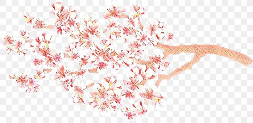 Cherry Blossom, PNG, 3000x1464px, Cartoon, Blossom, Cherry Blossom, Flower, Pink Download Free