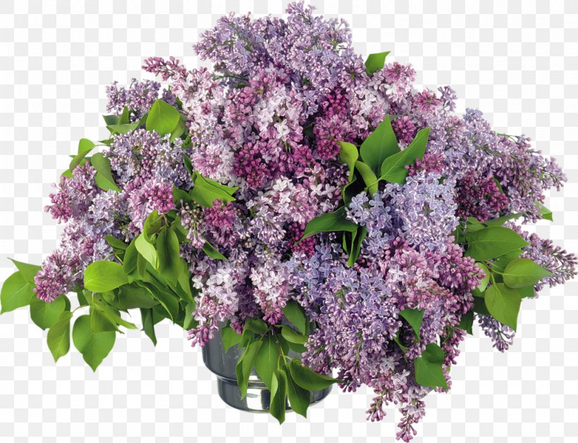 Lilac Desktop Wallpaper Vase Clip Art, PNG, 1024x786px, Lilac, Branch, Display Resolution, Flower, Flower Bouquet Download Free