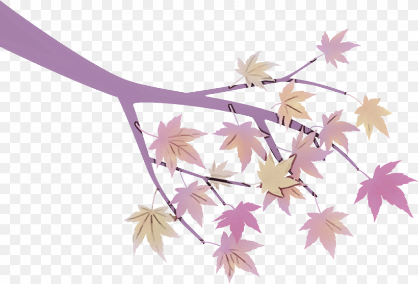 Maple Tree Branch Maple Tree Autumn, PNG, 1024x696px, Maple Tree Branch, Autumn, Branch, Flower, Leaf Download Free