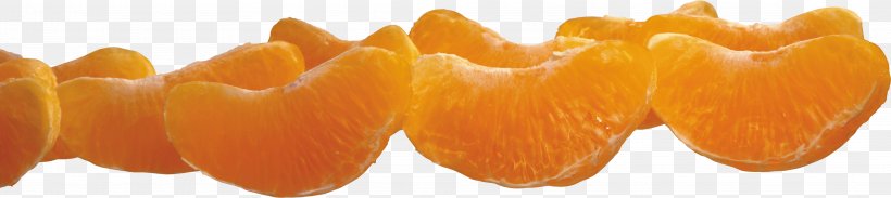 Mandarin Orange Clip Art Digital Image File Format, PNG, 3934x882px, Mandarin Orange, Citrus Sinensis, Digital Image, Fruit, Orange Download Free