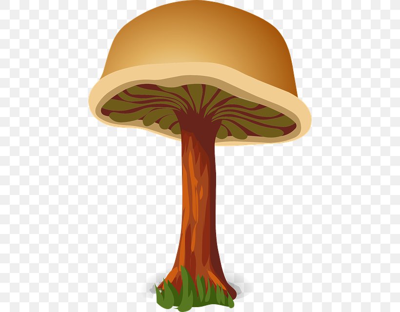 Mushroom Fungus, PNG, 458x640px, Mushroom, Drawing, Food, Fungus, Hat Download Free