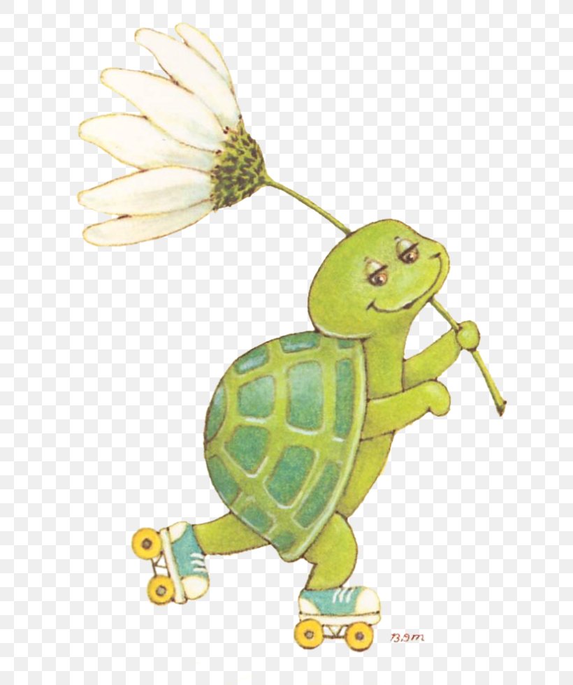 Tortoise Sea Turtle Clip Art, PNG, 695x980px, Tortoise, Animal, Cartoon, Email, Indreetloire Download Free