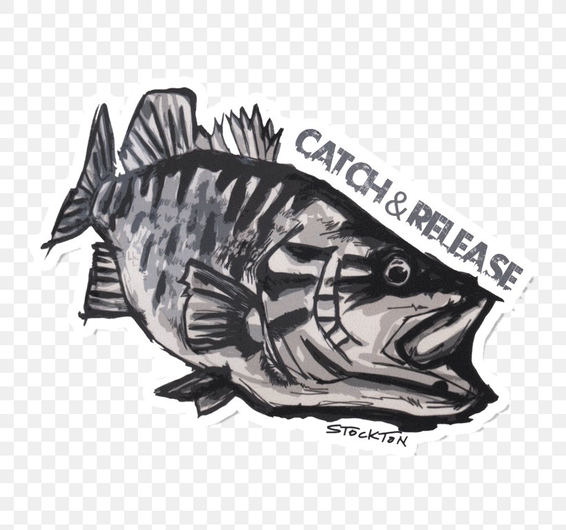 Decal Bass Fishing Sticker Smallmouth Bass, PNG, 768x768px, Decal, Angling, Bass, Bass Boat, Bass Fishing Download Free