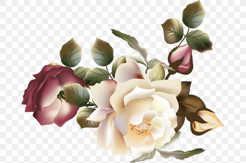 Flower Garden Roses Photography Clip Art, PNG, 677x544px, Flower, Art, Artificial Flower, Blossom, Collage Download Free