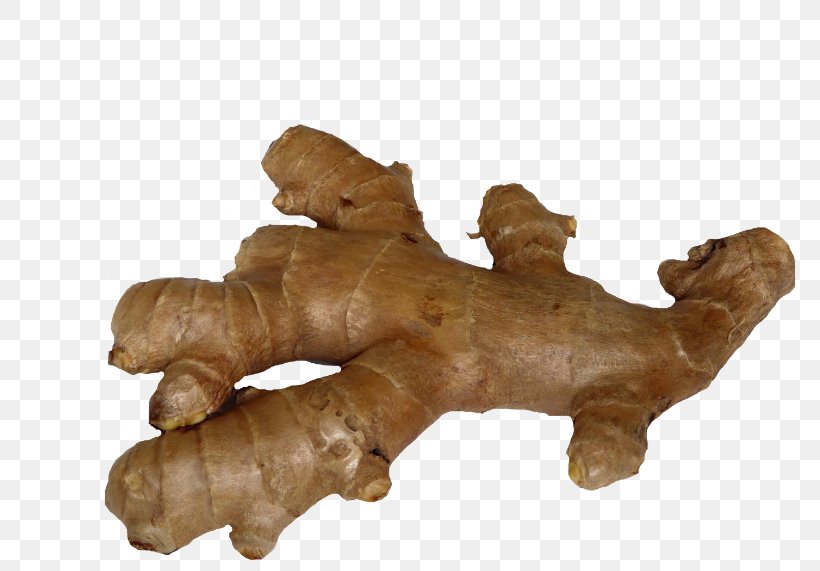 Galangal Spice Beer Ginger Root Vegetables, PNG, 800x571px, Galangal, Beer, Beer Brewing Grains Malts, Boiling, Common Hop Download Free
