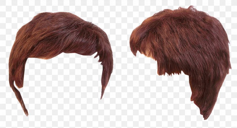 Hairstyle Wig Capelli, PNG, 1280x694px, Hair, Barbershop, Beak, Capelli, Feather Download Free