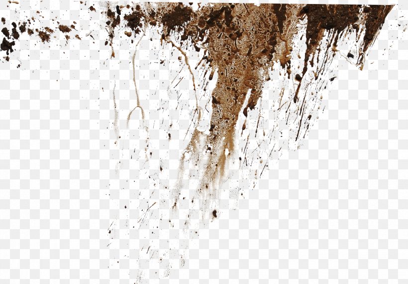 Mud Stain Soil, PNG, 2453x1708px, Mud, Dirt, Earth, Free Software, Gratis Download Free