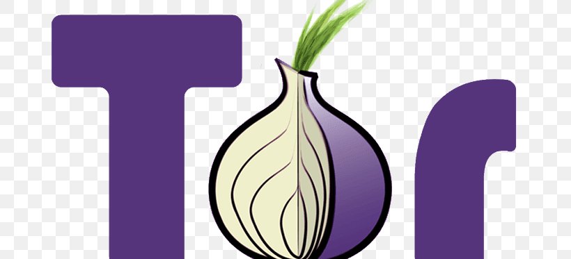 The Tor Project, Inc .onion Onion Routing Dark Web, PNG, 711x373px, Tor, Anonymat Sur Internet, Anonymity, Computer Servers, Dark Web Download Free