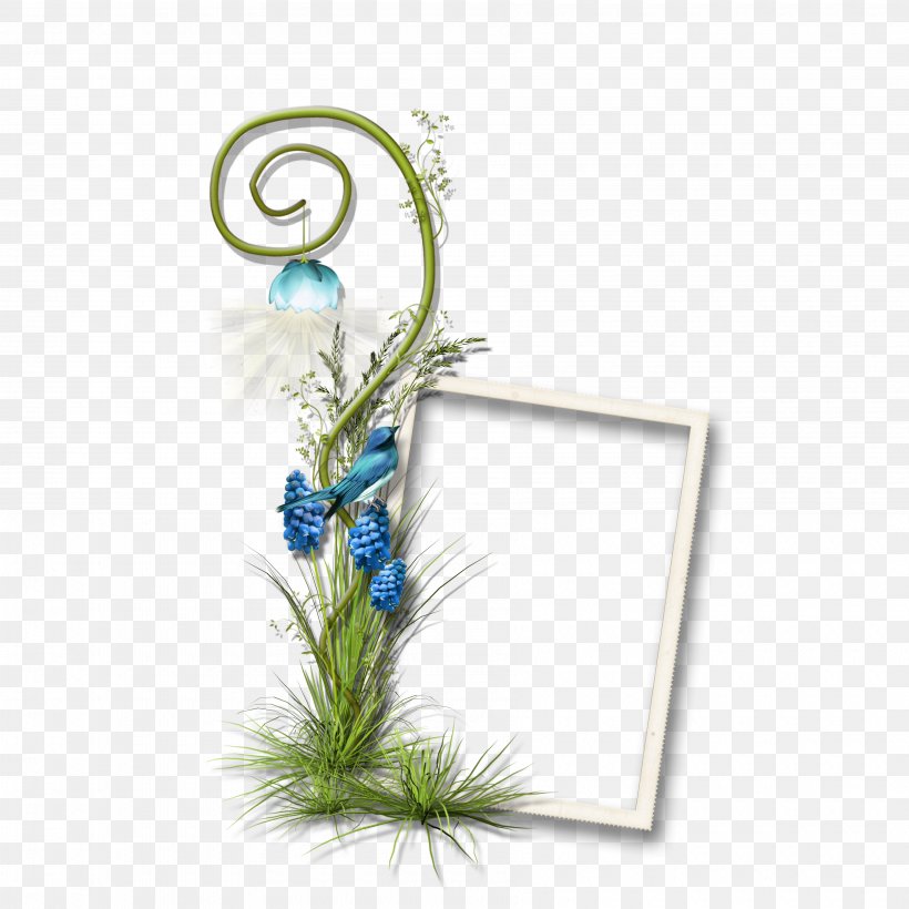 Drawing, PNG, 3600x3600px, Drawing, Blue, Designer, Feather, Flora Download Free