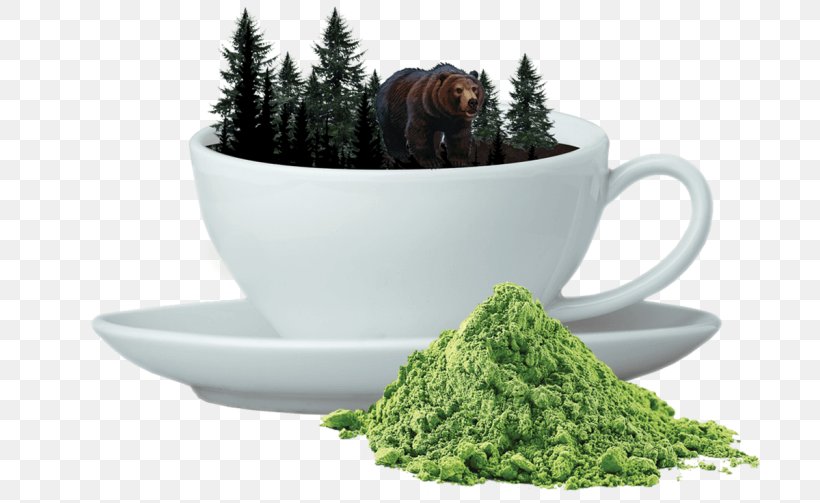 Earl Grey Tea Oolong Matcha Camellia Sinensis, PNG, 700x503px, Tea, Camellia Sinensis, Coffee, Coffee Cup, Cup Download Free
