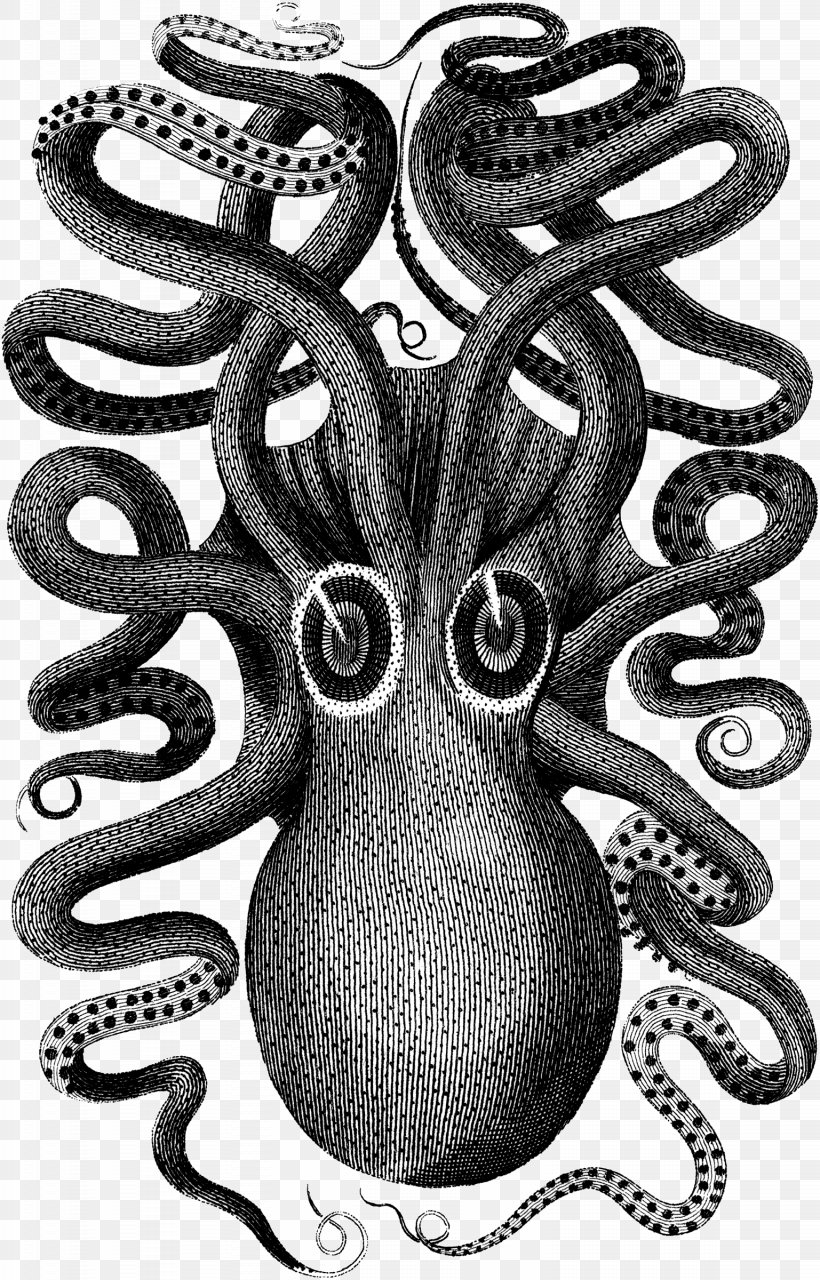 Octopus Visual Arts Squid, PNG, 1537x2400px, Octopus, Art, Black And White, Cephalopod, Cuttlefish Download Free