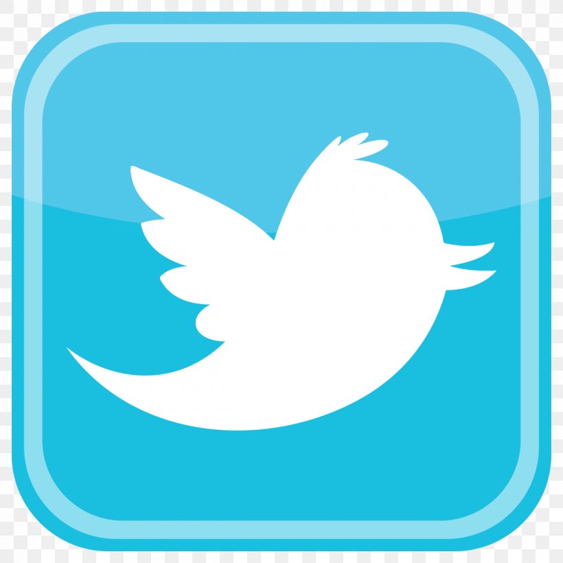 Social Media Vector Graphics Logo Clip Art, PNG, 1200x1200px, Social Media, Aqua, Area, Beak, Bird Download Free