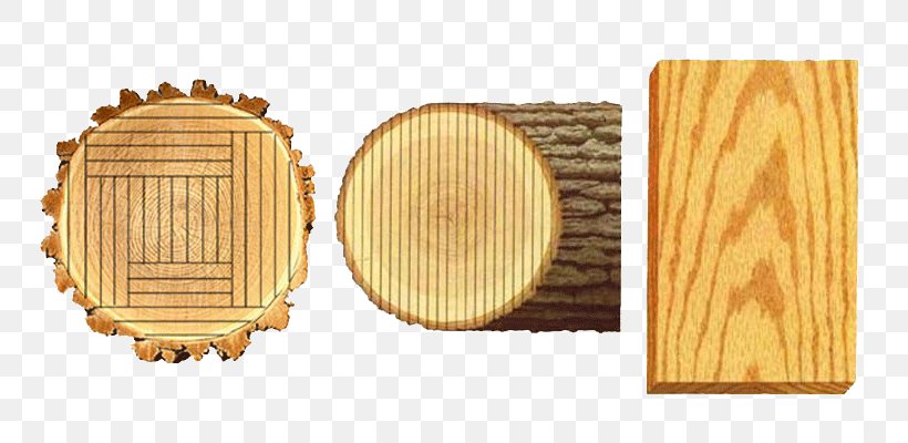 Woodworking Quarter Sawing Wood Grain Varnish, PNG, 800x400px, Wood, Bohle, Idea, Knowledge, Machining Download Free