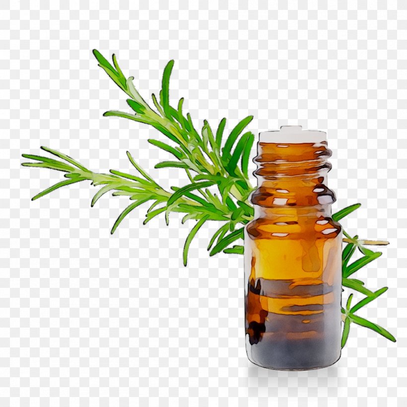 Alternative Health Services Herbalism Medicine Tree, PNG, 999x999px, Alternative Health Services, Bottle, Fines Herbes, Flower, Goldenrod Download Free